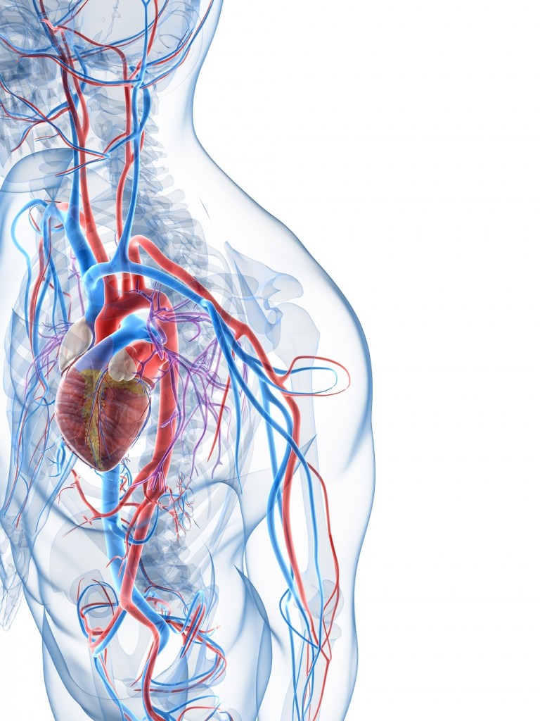 Answers to Common Heart Questions - Urgent Medical Care